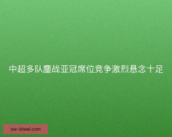 中超多队鏖战亚冠席位竞争激烈悬念十足